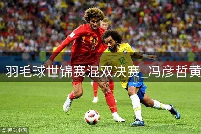 羽毛球世锦赛混双决赛 冯彦哲/黄东萍惜败摘银